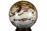 Colorful Petrified Wood (Araucaria) Sphere - Madagascar #182931-1
